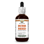 Burr Reed Liquid Extract, Dried rhizome (Sparganium Emersum) Alcohol-Free Glycerite