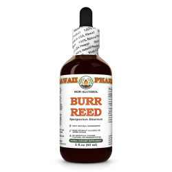Burr Reed Liquid Extract, Dried rhizome (Sparganium Emersum) Alcohol-Free Glycerite