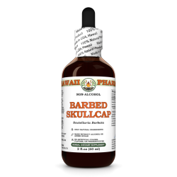 Barbed Skullcap Liquid Extract, Dried root (Scutellaria Barbata) Alcohol-Free Glycerite