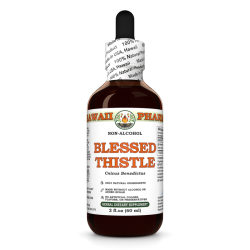 Blessed Thistle Alcohol-FREE Liquid Extract, Organic Blessed Thistle (Cnicus benedictus) Dried Leaf, Organic Stems and Flower Glycerite
