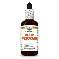 Blue Vervain Alcohol-FREE Liquid Extract, Organic Blue Vervain (Verbena Hastata) Dried Above-Ground Parts Glycerite