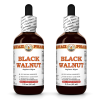 Black Walnut (Juglans Nigra) 2x2 Oz