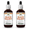 Black Walnut (Juglans Nigra) 2x2 Oz