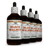 Black Walnut (Juglans Nigra) 4x4 Oz