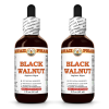 Black Walnut (Juglans Nigra) 2x2 Oz