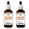 Black Walnut (Juglans Nigra) 2x2 Oz