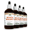 Black Walnut (Juglans Nigra) 4x4 Oz