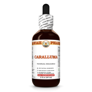 Caralluma Tincture, Caralluma Adscendens (Fimbriata) Root