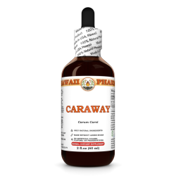 Caraway Liquid Extract, Organic Caraway (Carum carvi) Dried Fruits Tincture