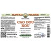 Cao Dou Kou (Alpinia Katsumadai) Tincture, Dried Seed ALCOHOL-FREE Liquid Extract