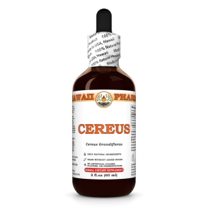 Night Blooming Cereus (Cereus Grandiflorus) Dried Inflorescence Liquid Extract, Bang Wa Hua, Herbal Supplement