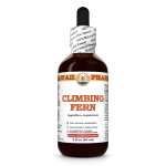 Climbing Fern Liquid Extract, Dried spore (Lygodium Japonicum) Tincture