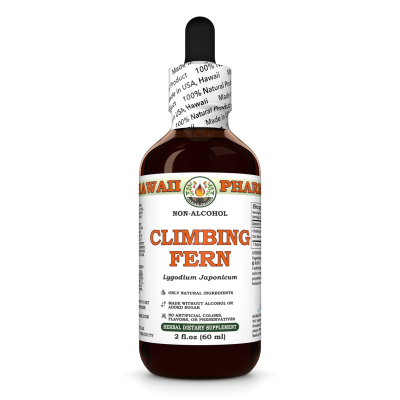 Climbing Fern Liquid Extract, Dried spore (Lygodium Japonicum) Alcohol-Free Glycerite