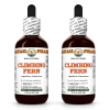Climbing Fern (Lygodium Japonicum) 2x2 Oz