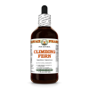 Climbing Fern (Lygodium Japonicum) 4 Oz