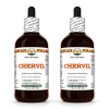 Chervil (Anthriscus Cerefolium) 2x4 Oz