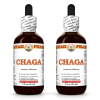 Chaga (Inonotus Obliquus) 2x2 Oz