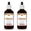 Chaga (Inonotus Obliquus) 2x4 Oz