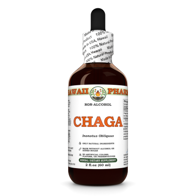Chaga Alcohol-FREE Liquid Extract, Chaga (Inonotus obliquus) Whole Mushroom Dried Glycerite