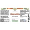 Chaparral Alcohol-FREE Liquid Extract, Chaparral (Larrea tridentata) Dried Aerial Parts Glycerite