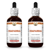 Chaparral (Larrea Tridentata) 2x2 Oz