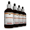 Chaparral (Larrea Tridentata) 4x4 Oz