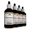 Chaparral (Larrea Tridentata) 4x4 Oz