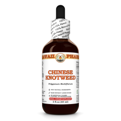 Chinese Knotweed Liquid Extract, Chinese Knotweed (Polygonum multiflorum) Dried Root Tincture