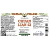 Chuan Lian Zi Alcohol-FREE Liquid Extract, Chuan Lian Zi, Toosendan (Melia Toosendan) Fruit Glycerite