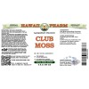 Club Moss Alcohol-FREE Liquid Extract, Club Moss (Lycopodium clavatum) Dried Whole Herb Glycerite