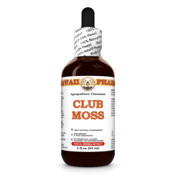Club Moss Liquid Extract, Club Moss (Lycopodium clavatum) Dried Whole Herb Tincture