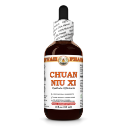 Chuan Niu Xi Liquid Extract, Chuan Niu Xi, Cyathula (Cyathula Officinalis) Root Tincture