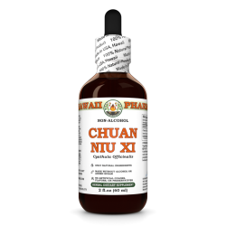 Chuan Niu Xi Alcohol-FREE Liquid Extract, Chuan Niu Xi, Cyathula (Cyathula Officinalis) Root Glycerite