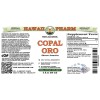 Copal Oro Alcohol-FREE Liquid Extract, Copal Oro (Shorea Javanica) Dried Pieces Glycerite