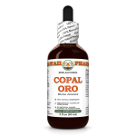 Copal Oro Alcohol-FREE Liquid Extract, Copal Oro (Shorea Javanica) Dried Pieces Glycerite