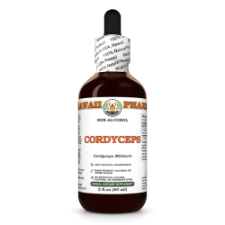 Cordyceps Liquid Extract, Cordyceps (Cordyceps Militaris) Mushroom Tincture