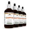 Coptis (Coptis Chinensis) 4x4 Oz