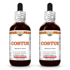 Costus (Saussurea Costus) 2x2 Oz
