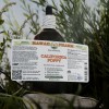 California Poppy Alcohol-Free Extract, Glycerite for Calming Nervous System, Promotes Relaxation, Supports Sleep, Eases Tension