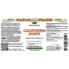 California Poppy Alcohol-FREE Liquid Extract, California Poppy (Eschscholzia Californica) Seeds Glycerite