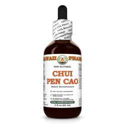 Chui Pen Cao (Sedum Sarmentosum) Tincture, Dried Herb ALCOHOL-FREE Liquid Extract