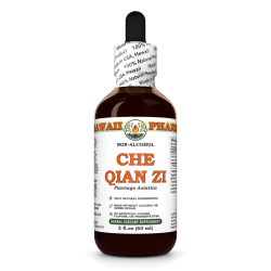 Che Qian Zi (Plantago Asiatica) Tincture, Dried Seed ALCOHOL-FREE Liquid Extract