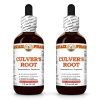 Culver's Root (Veronicastrum Virginicum)) 2x2 Oz