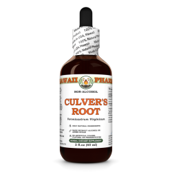 Culver's Root Alcohol-FREE Liquid Extract, Culver's Root (Veronicastrum Virginicum) Dried Root Glycerite
