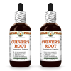 Culver's Root (Veronicastrum Virginicum) 2x2 Oz