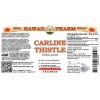 Carline Thistle (Carlina Acaulis) Tincture, Dried Root Liquid Extract