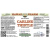 Carline Thistle (Carlina Acaulis) Tincture, Dried Root ALCOHOL-FREE Liquid Extract