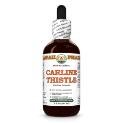 Carline Thistle (Carlina Acaulis) Tincture, Dried Root ALCOHOL-FREE Liquid Extract