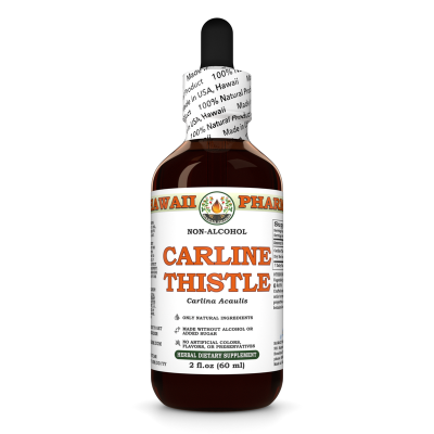 Carline Thistle (Carlina Acaulis) Tincture, Dried Root ALCOHOL-FREE Liquid Extract