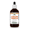 Carline Thistle (Carlina Acaulis) 4 Oz